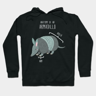 Armadillo Animal Anatomy Hoodie